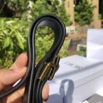 Dior Saddle Bag – Iconic Horse-Shoe Shape, CD Logo Clasp, Designer Crossbody Bag with Adjustable Strap - 图片 9