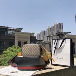 Gucci-Style Ophidia Mini Camera Bag – Beige GG Monogram Canvas with Red & Green Web Strap, Metal Logo Badge & Adjustable Shoulder Strap