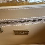 Dolce & Gabbana-Style Crocodile-Embossed Flap Bag – Metallic DG Logo Clasp (4 Colors Available) - 图片 12