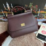 Dolce & Gabbana-Style Mini Flap Bag – Saffiano Leather with Gold-Tone Logo Plate (8 Colors Available) - 图片 9