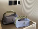 Hermès Mini Tote Bag – Multi-Color Options, Embroidered H Logo, Cotton Canvas & Woven Handle, Iconic Style - 图片 6
