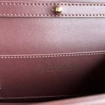 Dolce & Gabbana-Style Mini Chain Bag – Leather with Gold-Tone DG Logo Clasp - 图片 11