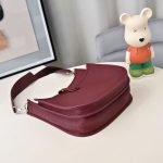 Hermès Evelyne 18 Bag – Perforated "H" Design, Multi-Color Options, Togo Leather, Crossbody Style, Iconic Designer Bag - 图片 14