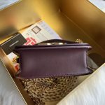 Dolce & Gabbana-Style Mini Chain Bag – Leather with Gold-Tone DG Logo Clasp - 图片 8