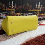 Dolce & Gabbana-Style Mini Flap Bag – Saffiano Leather with Gold-Tone Logo Plate (8 Colors Available) - 图片 11