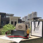 Gucci-Style Ophidia Mini Camera Bag – Beige GG Monogram Canvas with Red & Green Web Strap, Metal Logo Badge & Adjustable Shoulder Strap - 图片 7