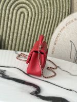 Chanel-Style Classic Flap Bag – Quilted Leather with Gold-Tone Chain & CC Log (4 Colors Available) - 图片 14