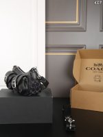 COACH Ashton Baguette 25 – Denim Canvas, Motorcycle-Style Buckles, Iconic Signature Print, Mini Crossbody Bag - 图片 8