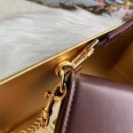 Dolce & Gabbana-Style Mini Chain Bag – Leather with Gold-Tone DG Logo Clasp - 图片 7