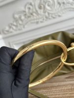 Celine-Style Hobo Bag – Iconic Gold Ring Handle, Soft Leather, Designer Shoulder Bag with Detachable Strap - 图片 3