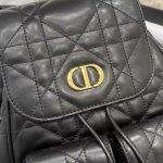 Dior Oblique Print Crossbody Bag – Iconic Monogram Canvas, Gold-Tone CD Clasp, Designer Shoulder Bag with Adjustable Strap - 图片 13