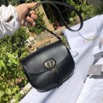 Dior Saddle Bag – Iconic Horse-Shoe Shape, CD Logo Clasp, Designer Crossbody Bag with Adjustable Strap