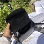 Dior Saddle Bag – Iconic Horse-Shoe Shape, CD Logo Clasp, Designer Crossbody Bag with Adjustable Strap - 图片 4