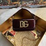 Dolce & Gabbana-Style Mini Chain Bag – Leather with Gold-Tone DG Logo Clasp