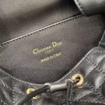 Dior Oblique Print Crossbody Bag – Iconic Monogram Canvas, Gold-Tone CD Clasp, Designer Shoulder Bag with Adjustable Strap - 图片 12