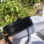 Dior Saddle Bag – Iconic Horse-Shoe Shape, CD Logo Clasp, Designer Crossbody Bag with Adjustable Strap - 图片 2