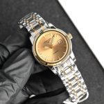 Longines Master Collection – Women's Two-Tone Stainless Steel Automatic Watch with Black Dial, Gold Accents, and Date Window - 图片 4