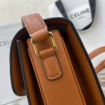 Celine Classic Box Bag – Iconic Double C Clasp, Canvas & Leather Trim, Designer Crossbody with Adjustable Strap - 图片 5